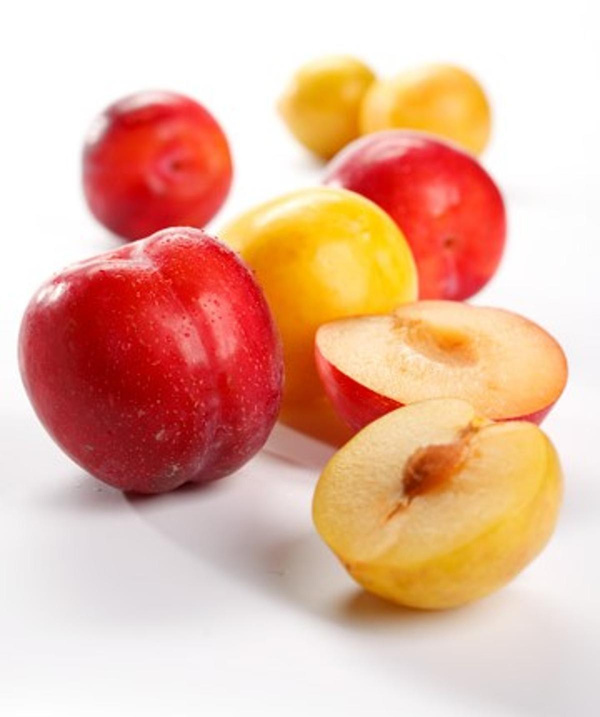 Produktfoto zu Pflaumen mix gelb und rot