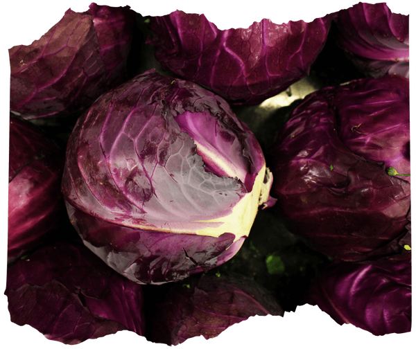 KI generiert: Mehrere Köpfe Rotkohl dicht nebeneinander.