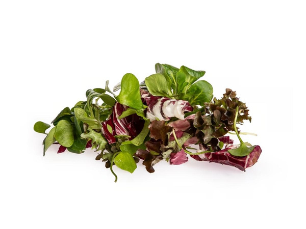 Produktfoto zu Schnittsalat Mix 100g