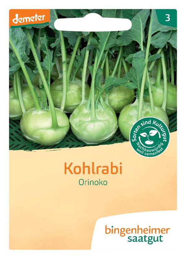 Produktfoto zu Kohlrabi Orinoko – Saatgut