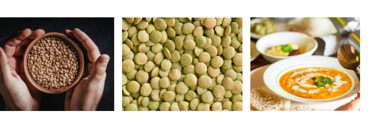 KI generiert: Verschiedene Linsenbilder: Hände mit Linsen, grüne Linsen und Linsensuppe mit Brot.