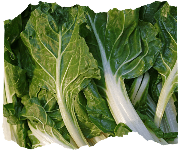 KI generiert: Frische Mangoldblätter mit kräftigen grünen Blättern und weißen Stielen.