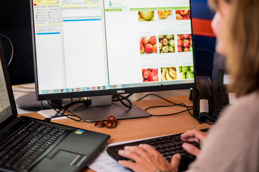 KI generiert: Person arbeitet an einem Computer; Bildschirm zeigt "Ökokiste", Fotos von Obst und Gemüse.