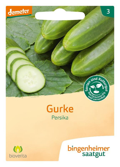 Produktfoto zu Salatgurke Persika – Saatgut