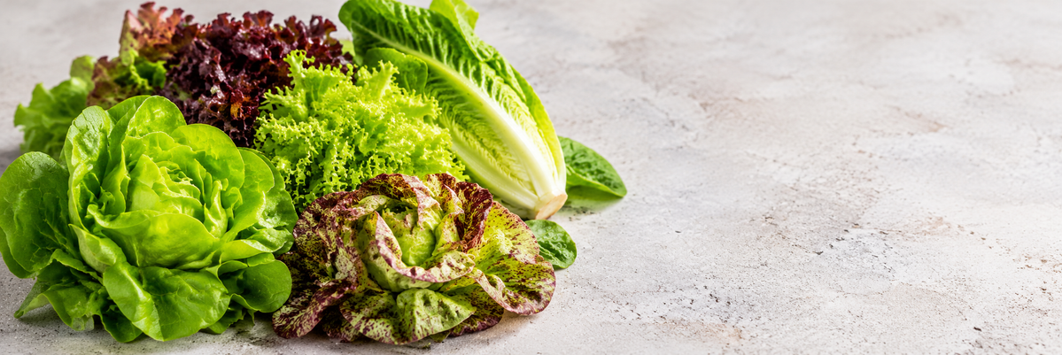Verschiedene frische Blattsalate mit grünen, dunkelroten und gesprenkelten Blättern, darunter Kopfsalat, Romanasalat und gekräuselte Pflücksalate, auf heller Steinfläche.
