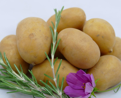 Produktfoto zu Kartoffeln klein mit Rosmarin 1kg