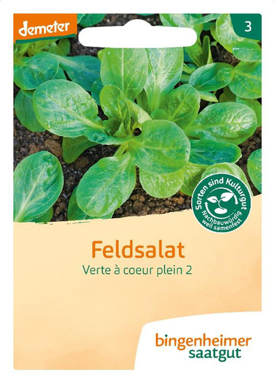 Produktfoto zu Feldsalat Verte à coeur plein 2 – Saatgut