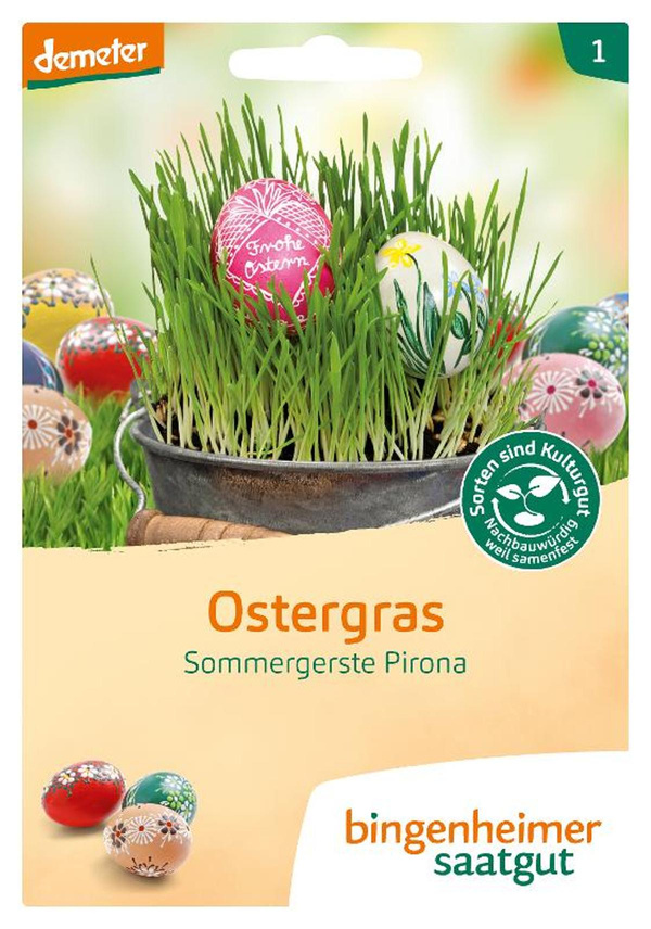 Produktfoto zu Ostergras Sommergerste Pirona – Saatgut