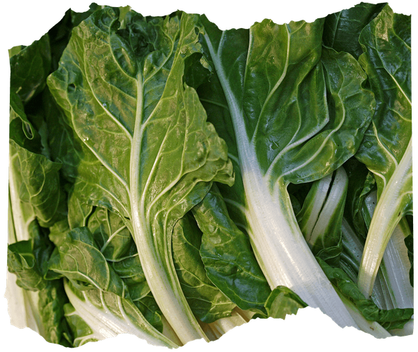 KI generiert: Ein Bund Mangold mit grünen Blättern und weißen Stielen.