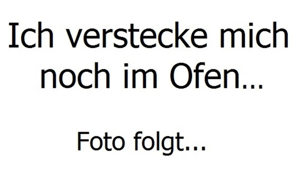 Produktfoto zu Dinkel SommerSprossen 1x2