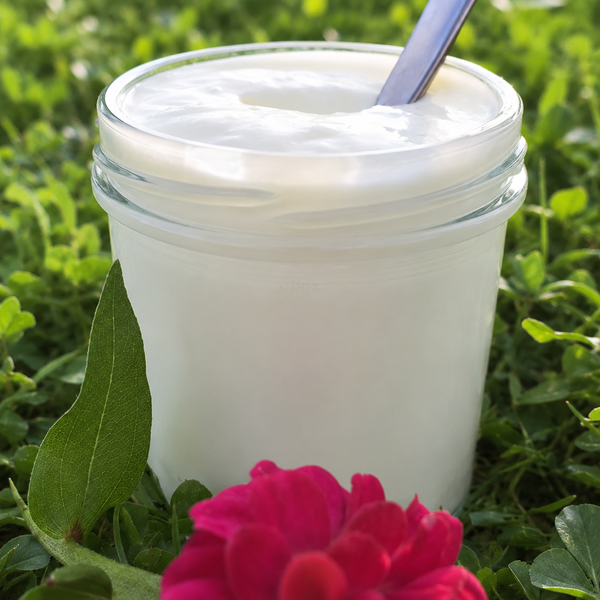 Produktfoto zu Schafjoghurt Mango 140 ml | von den Wiedtalhöfen