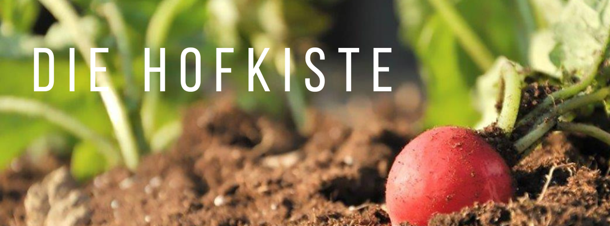 KI generiert: Ein Radieschen wächst im Boden. Text: DIE HOFKISTE.