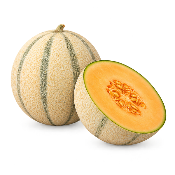 Produktfoto zu Cantaloupe Melone (ca. 1kg)– aromatisch, saftig und sommerlich süß