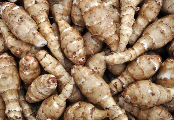 Produktfoto zu Topinambur - die nussige Knolle