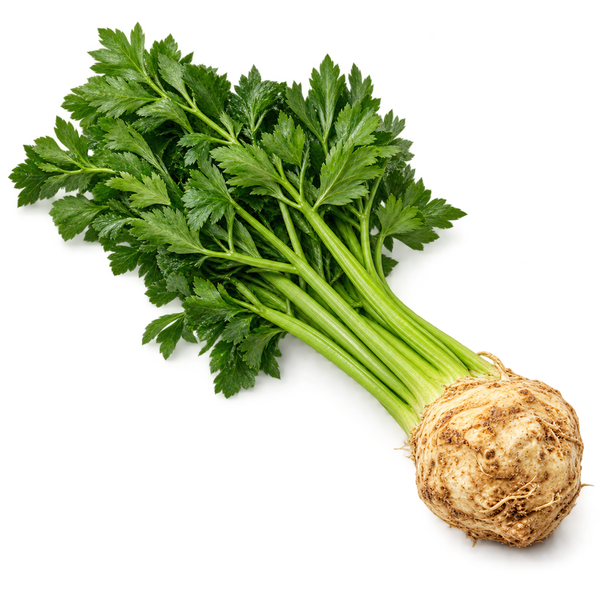 Produktfoto zu Sellerieknolle mit frischem Grün | Hüsgen