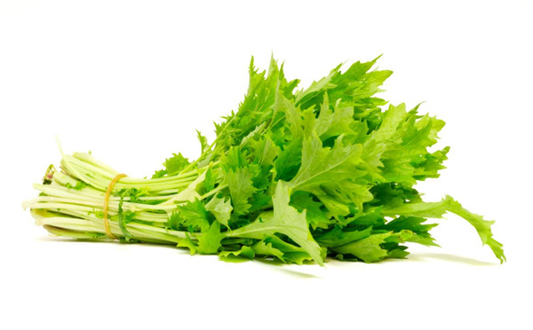 Produktfoto zu Rübstiel - Stielmus (ca.250 g) | Hüsgen