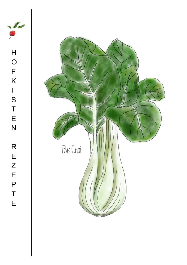 Produktfoto zu Rezeptkarte Pak Choy