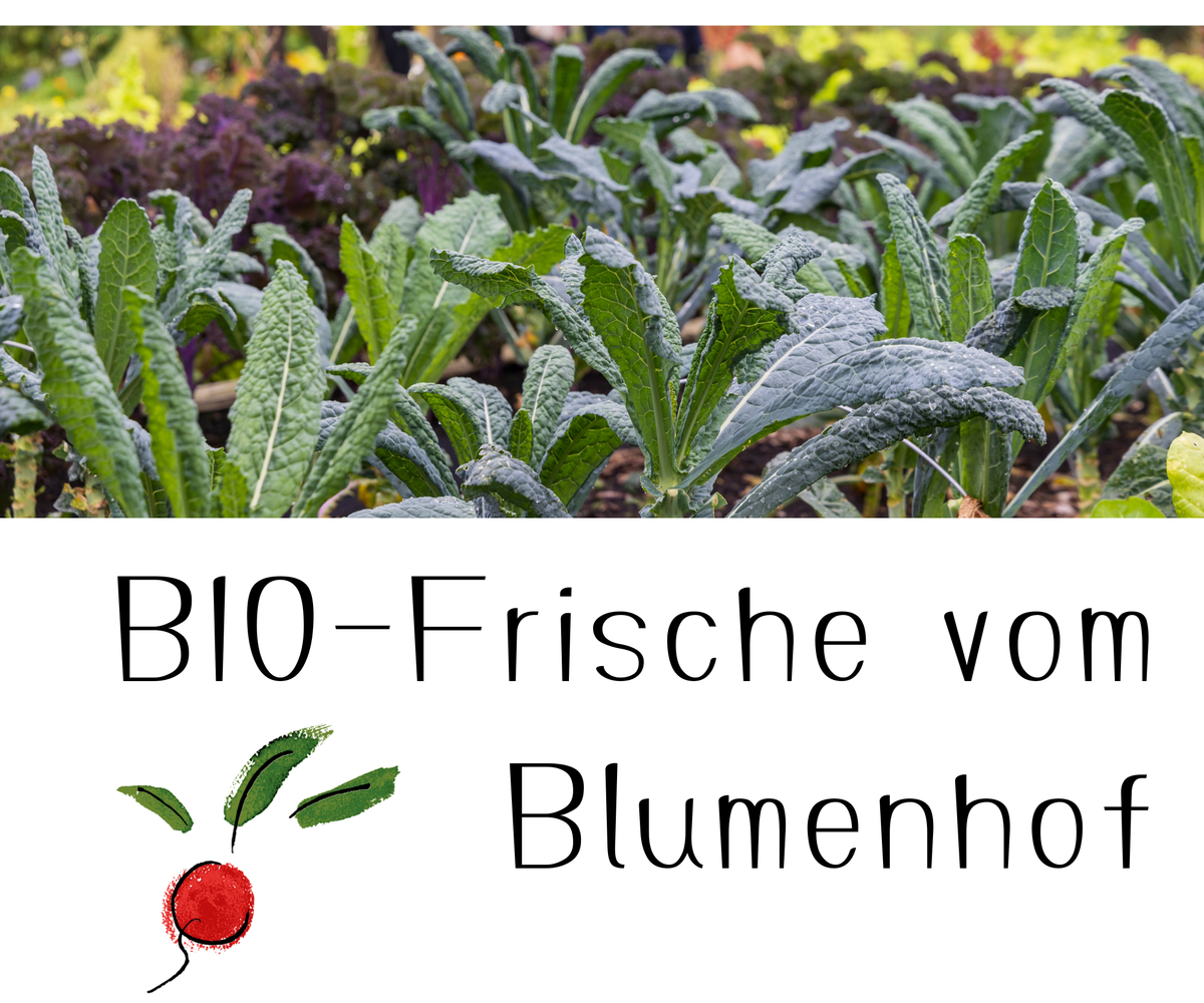 KI generiert: Frisches Gemüse im Garten. Text: "BIO-Frische vom Blumenhof".