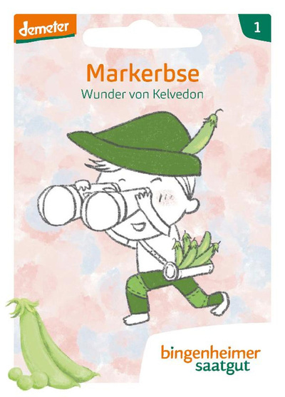 Produktfoto zu Markerbse Wunder von Kelvedon – Saatgut