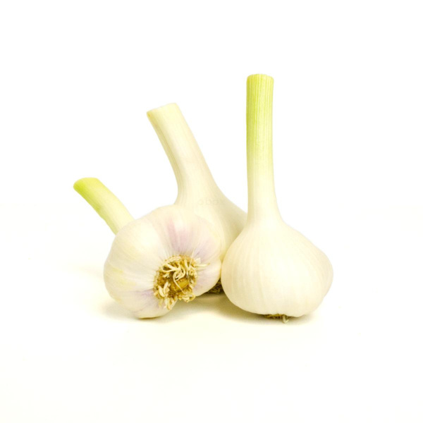 Produktfoto zu Knoblauch frisch Neue Ernte