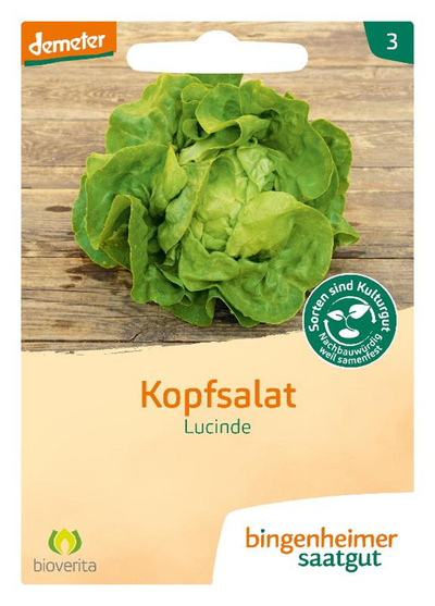 Produktfoto zu Kopfsalat Lucinde – Saatgut
