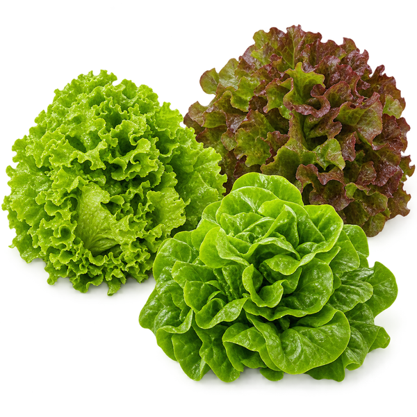 Produktfoto zu Salat II wöchentl. wechselnd | Hüsgen