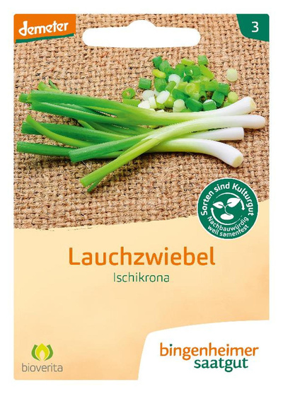 Produktfoto zu Frühlingszwiebel Ishikrona – Saatgut