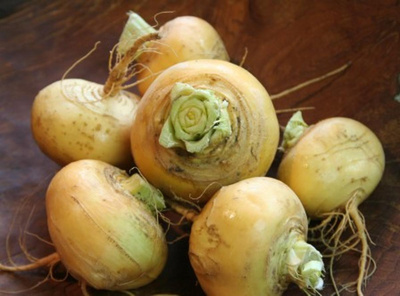 Produktfoto zu Mai - Rübchen | Hüsgen