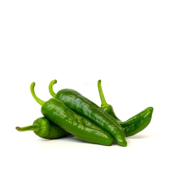 Produktfoto zu Pimiento de Padrón – mild & aromatisch