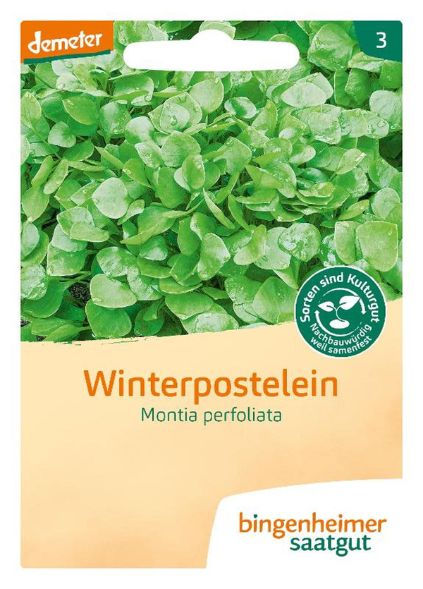 Produktfoto zu Winterpostelein – Saatgut