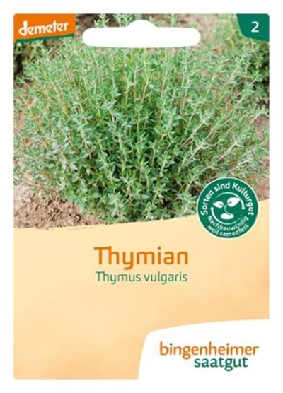 Produktfoto zu Thymian Deutscher Winter – Saatgut