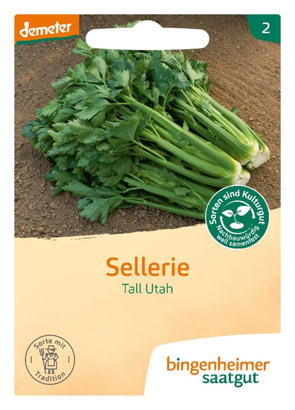 Produktfoto zu Stangensellerie Tall Utah – Saatgut