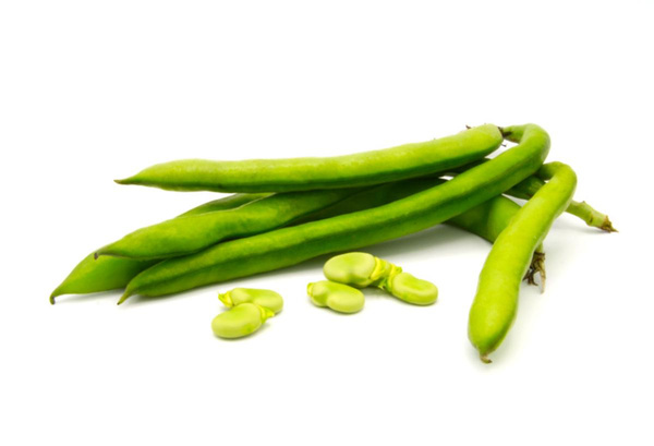 Produktfoto zu Dicke Bohnen