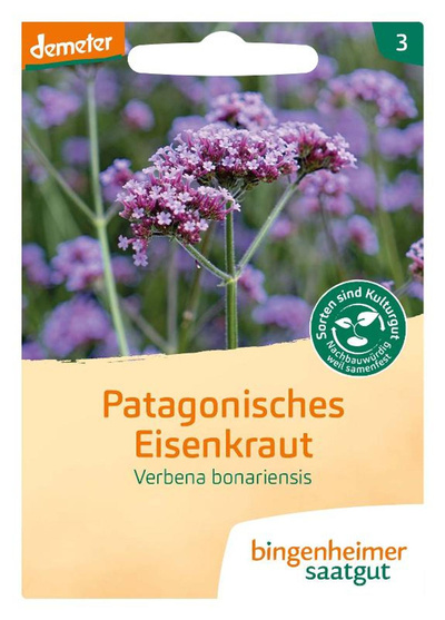 Produktfoto zu Patagonisches Eisenkraut – Saatgut