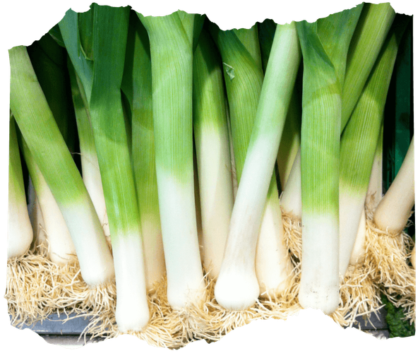 KI generiert: Eine Reihe frischer Lauchstangen auf einem Markt oder in einem Geschäft.