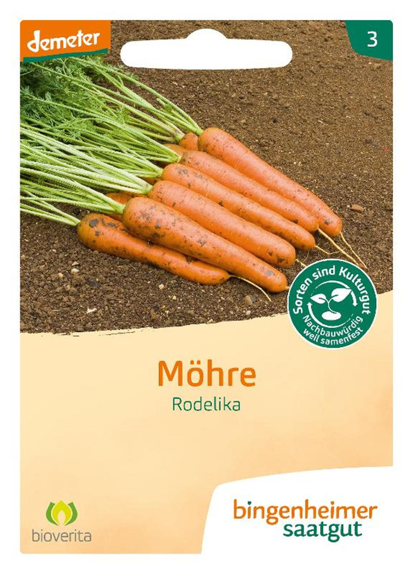 Produktfoto zu Möhre Rodelika – Saatgut