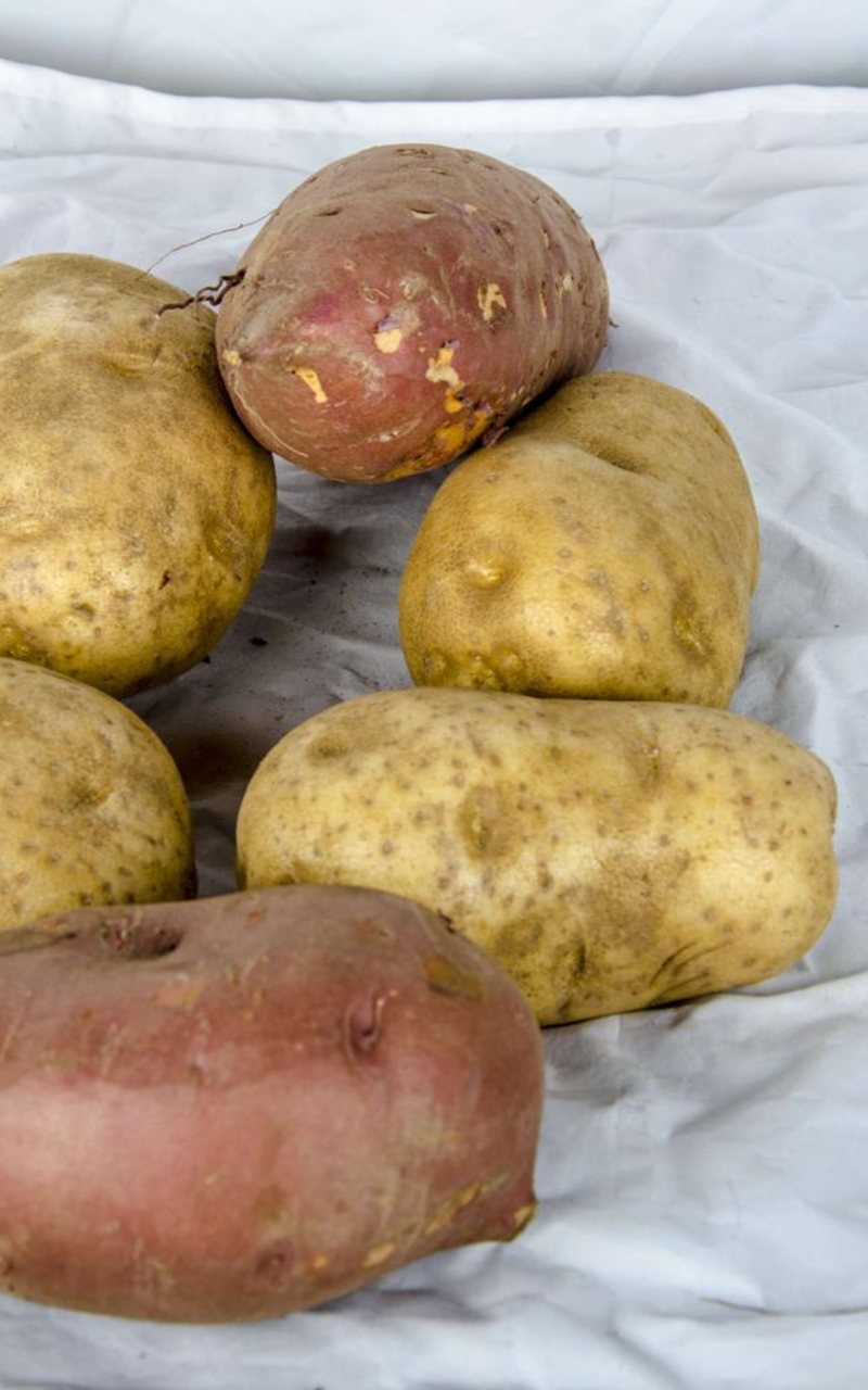 Kartoffeln & Süßkartoffeln