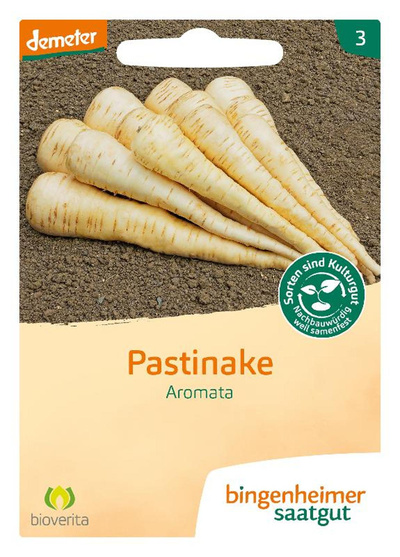 Produktfoto zu Pastinake Aromata – Saatgut