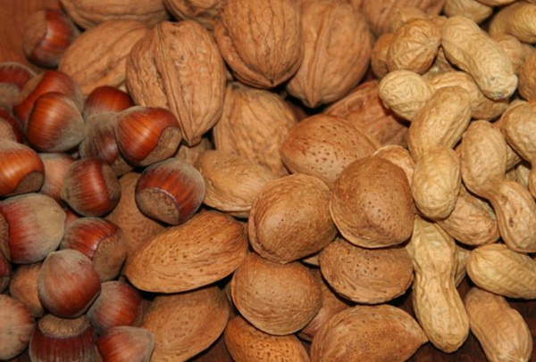 Produktfoto zu Nüsse gemischt (500 g), Mandeln, Haselnüsse, Erdnüsse, Walnüsse