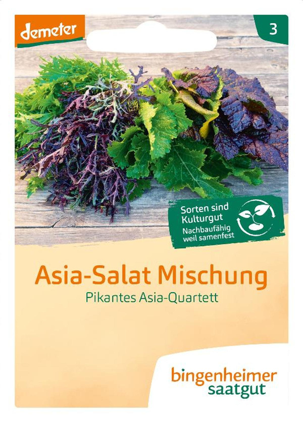 Produktfoto zu Asia-Salat Mischung – Saatgut