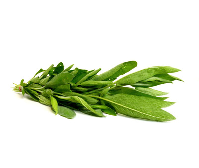 Produktfoto zu Salbei im Bund (ca. 40 g) | Bursch