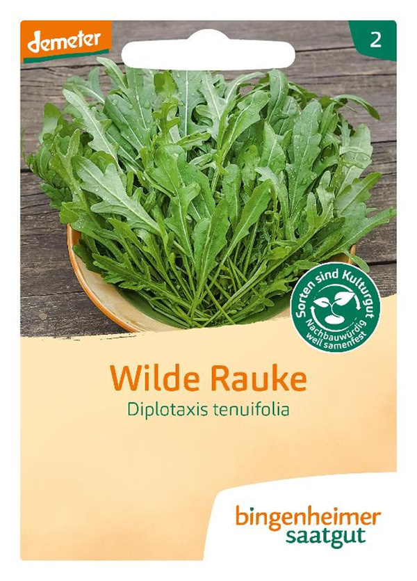 Produktfoto zu Rucola Wilde Rauke – Saatgut