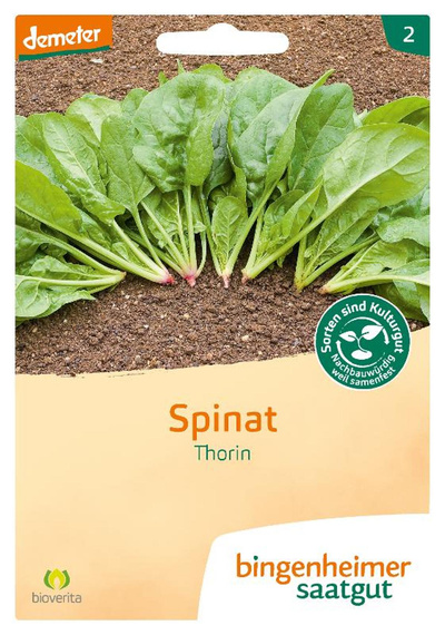 Produktfoto zu Spinat Thorin – Saatgut