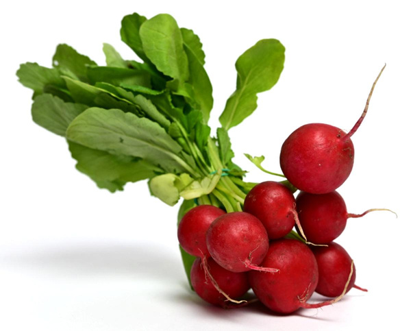 Produktfoto zu Radieschen im Bund aus Deutschland