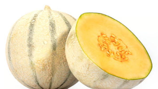 Produktfoto zu Cantaloupe Melone (ca. 850 g)
