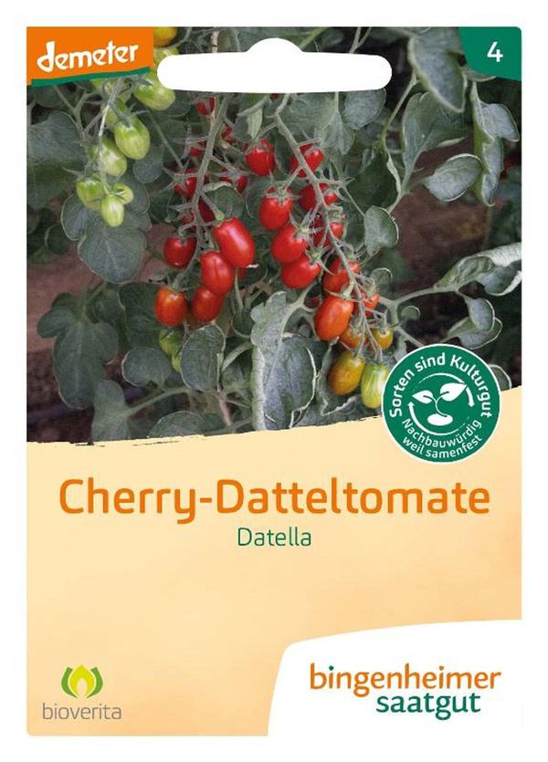 Produktfoto zu Tomate Datello (Cherrytomate) – Saatgut