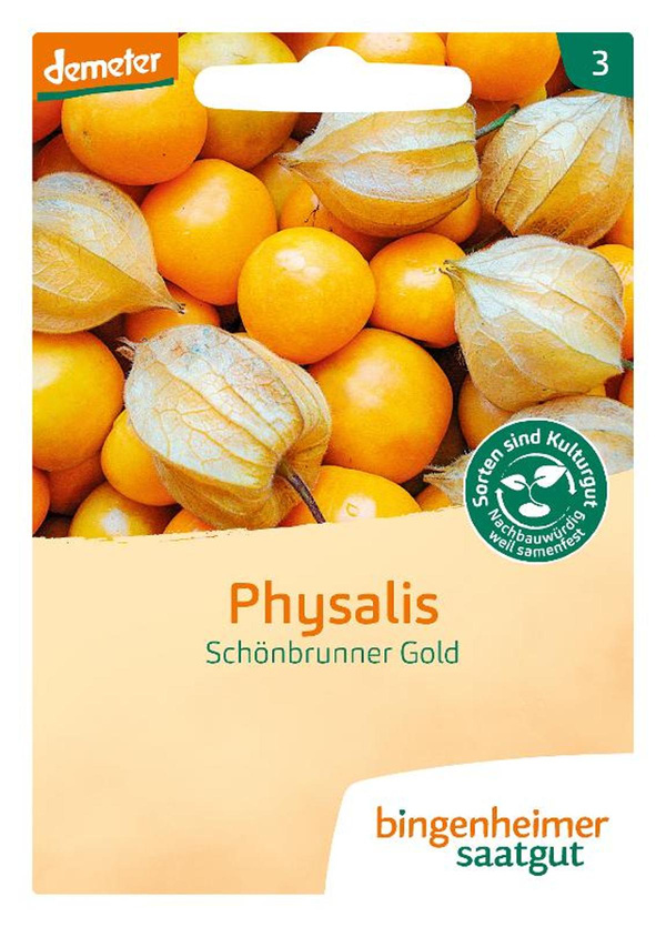 Produktfoto zu Physalis Schönbrunner Gold – Saatgut