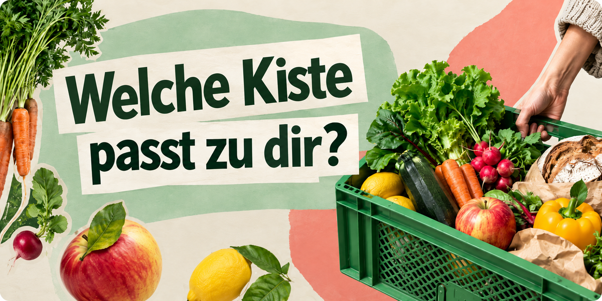KI-generierte Beschreibung: Hauptinhalt: Ökokiste mit Obst und Gemüse. Text: "Welche Kiste passt zu dir?"