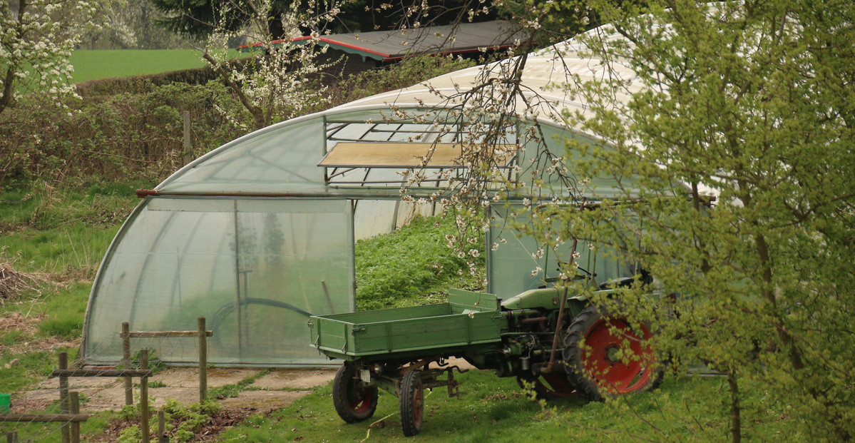 Obstblüte bei der Gärtnerei Hüsgen