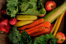 Produktfoto zu Single